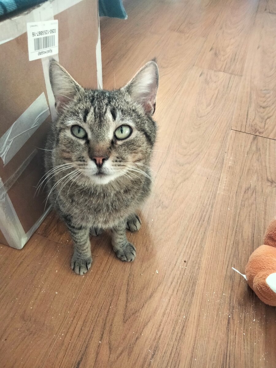 решили жить отдельно