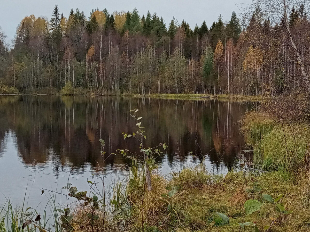 Природа вокруг завораживала: 