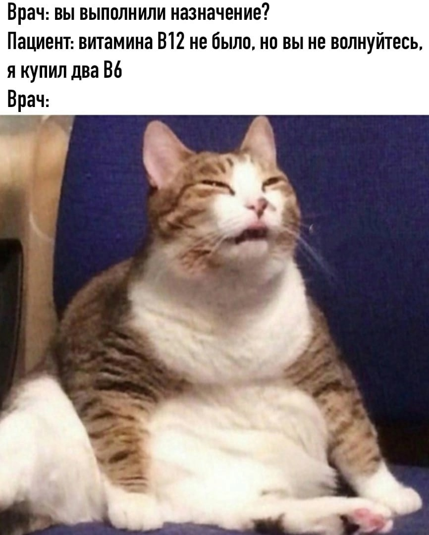 Смешные анекдоты. Анекдоты. Топ 100 смешных. Анект. Смешные картинки.