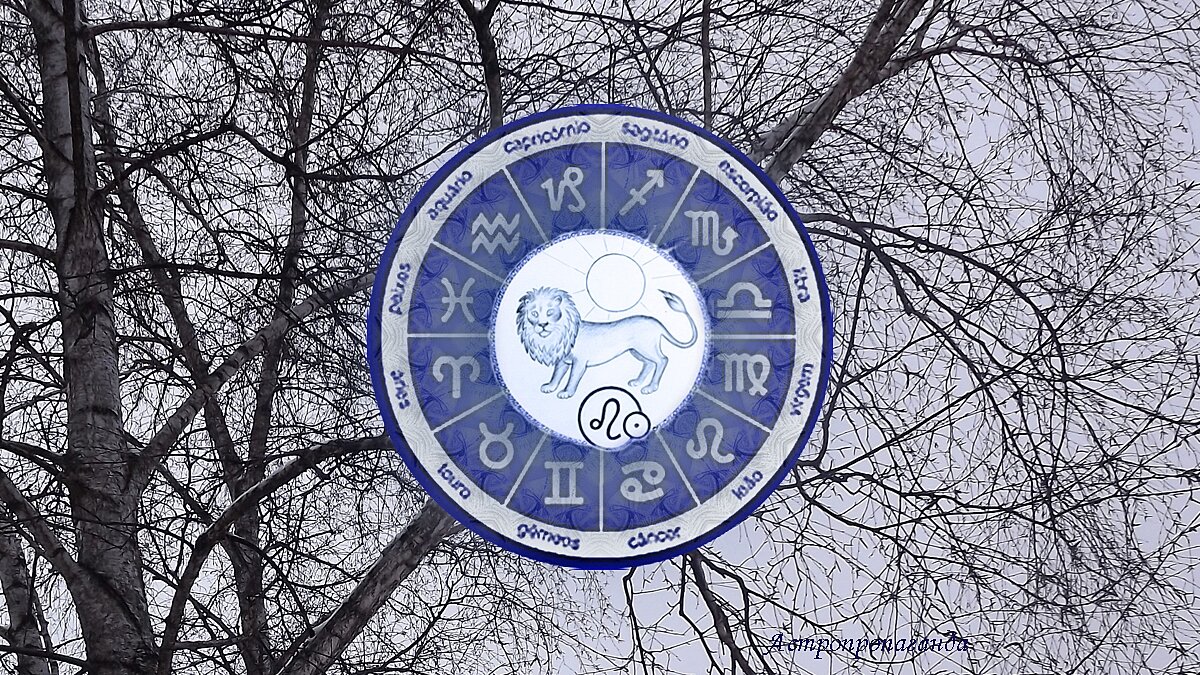 ведущий информационного канала на первом канале. студия программы время покажет. передача про тайланд 2019 - 2023. время покажет. время покажет 05.