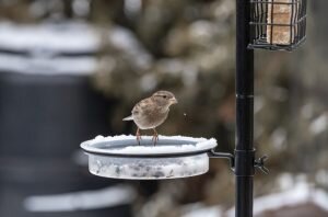    Фото: freepik.com/wirestock Анна Полякова