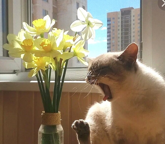 Пора просыпаться и действовать 😊