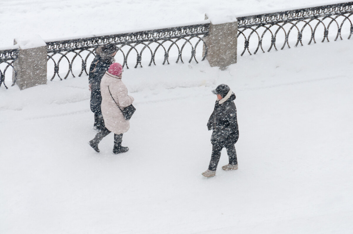 Фото: Svetlana Vozmilova/Globallookpress