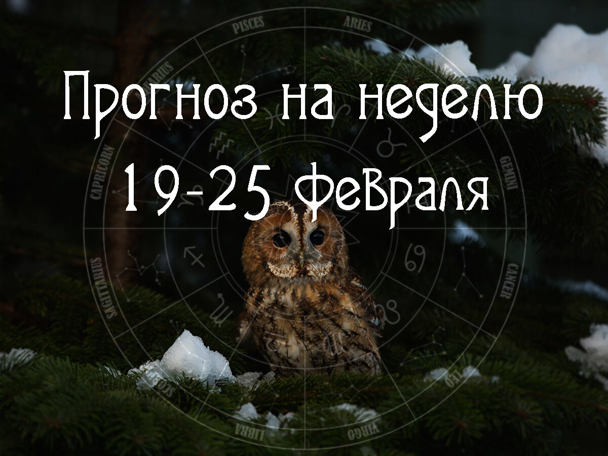 Астрологический прогноз на 19 – 25 февраля 2024 года