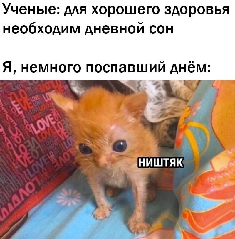 Встречу одноклассников прикольные. Смешное в одноклассниках. Встреча выпускников приколы. Анекдоты одноклассники. Встреча одноклассников рисунок смешной.