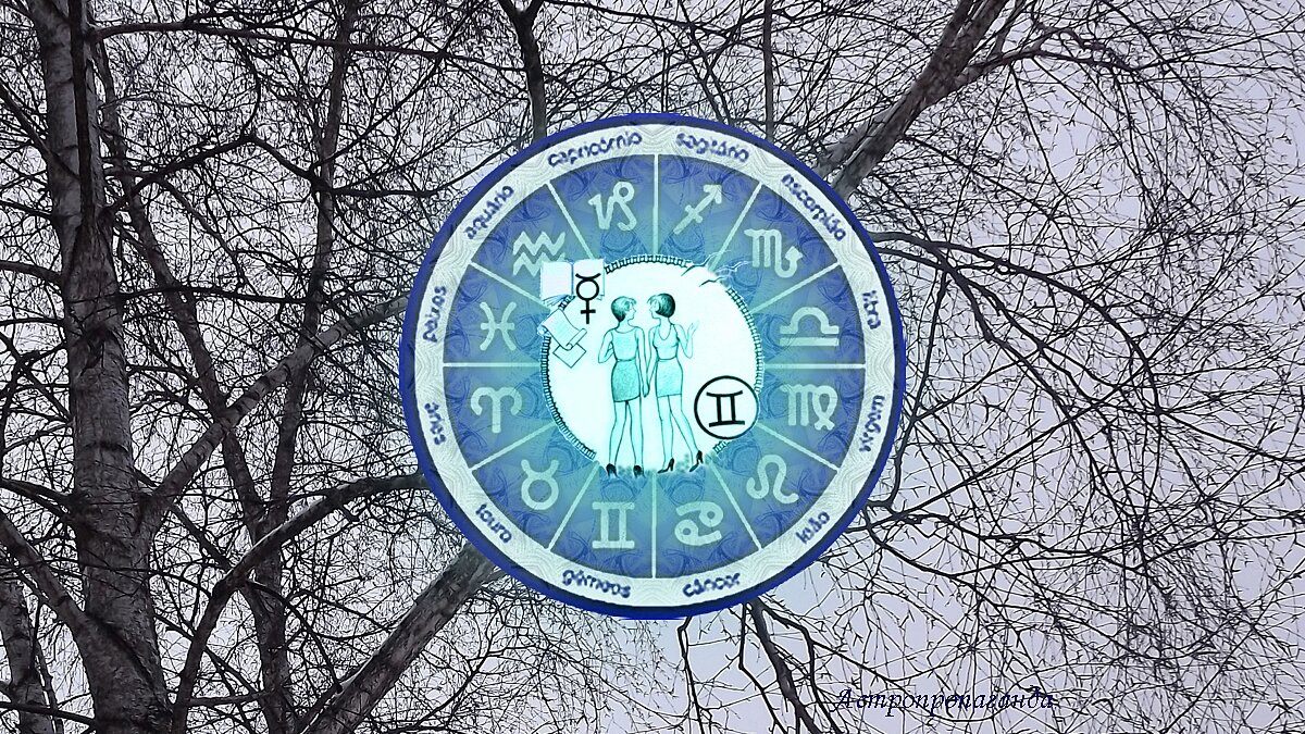 Гороскоп для Близнецов с 5 февраля по 3 марта 2024. 