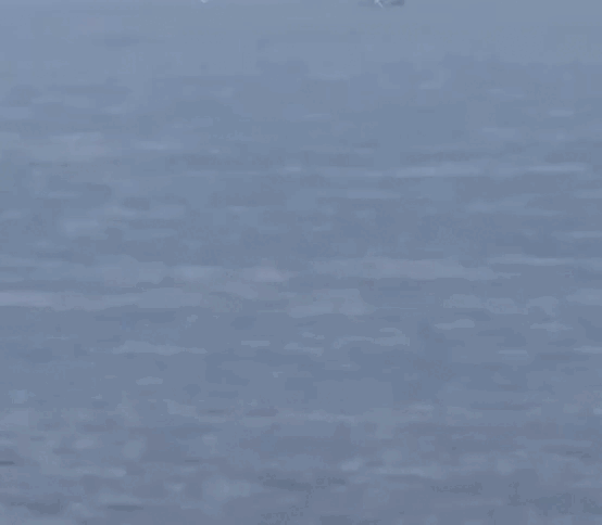 Спасательное судно «волхов(коммуна)». Вольтер эмоции это ветер который надувает паруса. Приводит корабль. Заброшенные корабли. Устный счет приведи корабли к причалу.