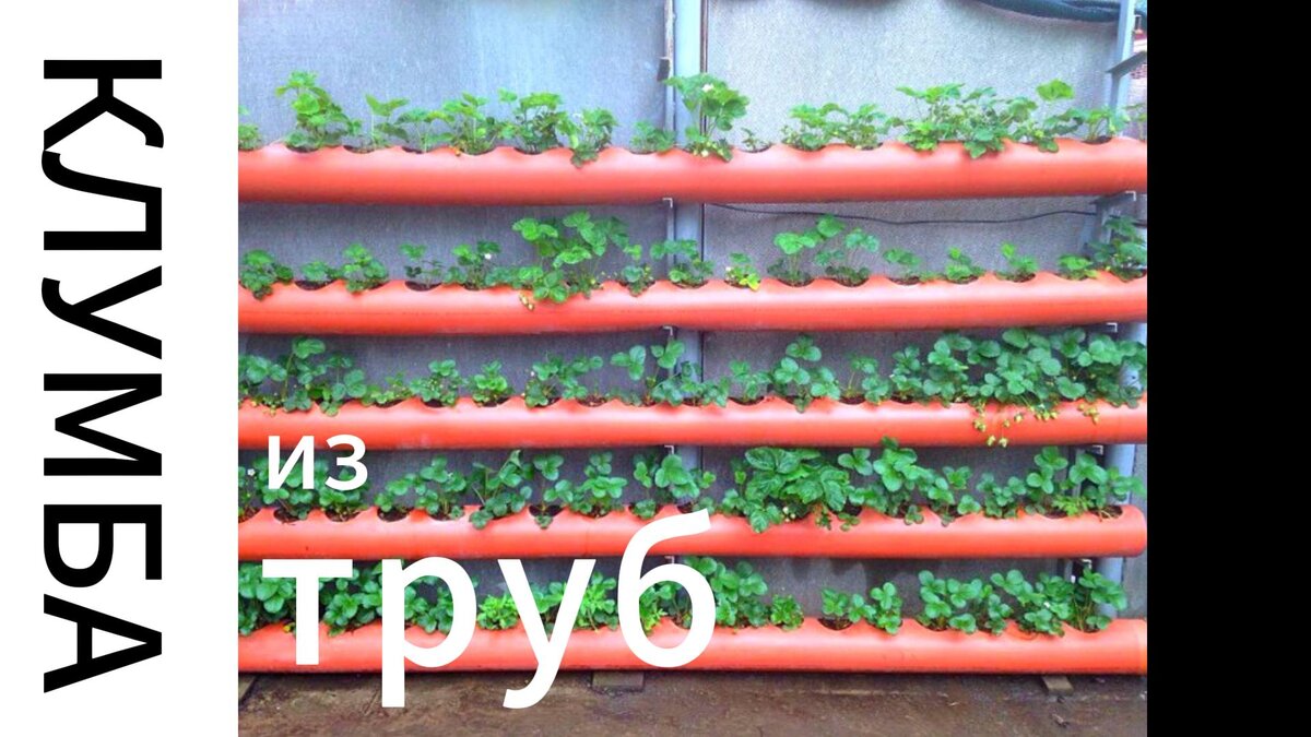 Траншейные грядки. Теплая грядка гарден. Схема совмещенных посадок овощей. Грядка огородная. Распланировать огород.