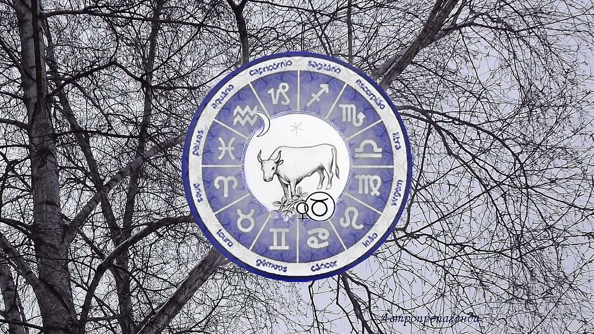 Знаки зодиака. Телец зодиак. Год тельца 2021. Предсказания тельца. Телец даты 2024.