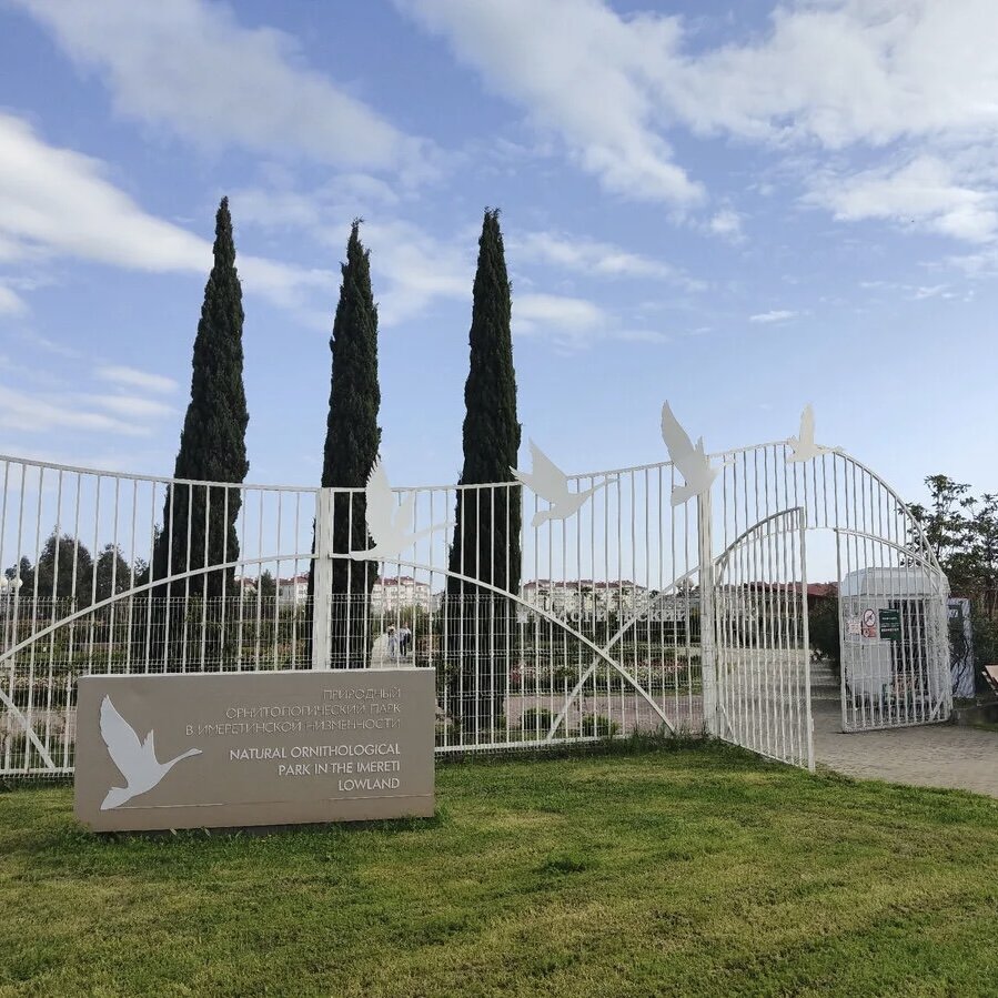 место города сочи. олимпийский парк сочи. место города сочи. храм архистратига михаила сочи. сочи ротонда на набережной.