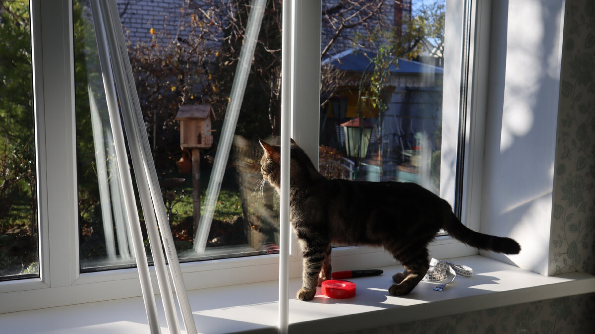 тайная жизнь домашних животных заяц. я буду зайчиком пушистым. девушка заяц. я буду зайчиком пушистым. мой пушистик зайчик.