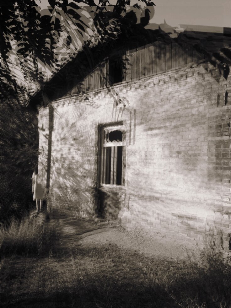 Фото с открытых источников Яндекс