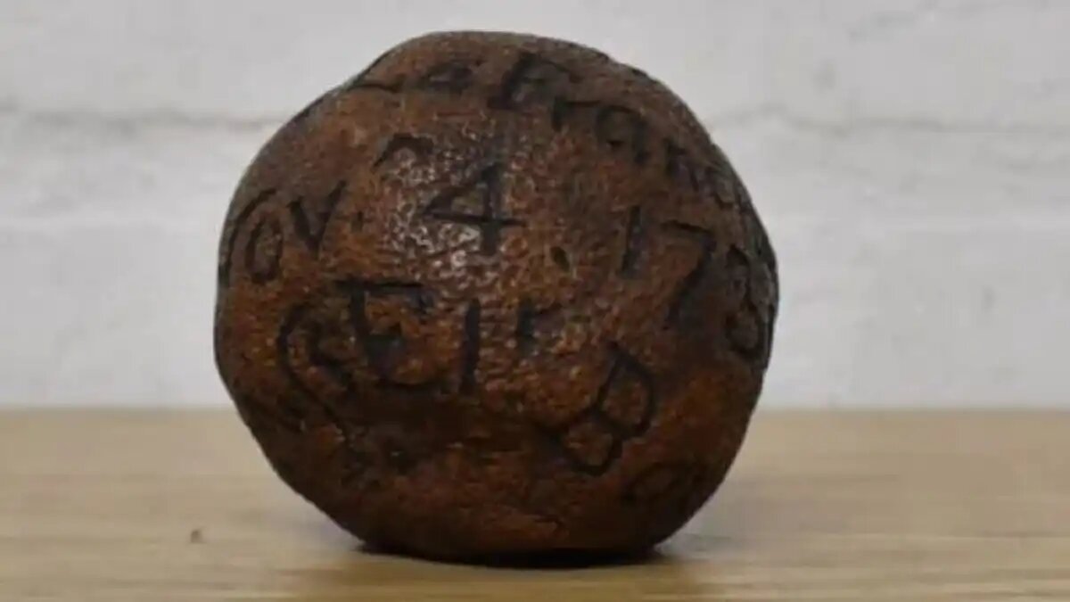 Фото: brettellsauctions / соцсети 285-летний лимон продали на аукционе на 1780 долларов