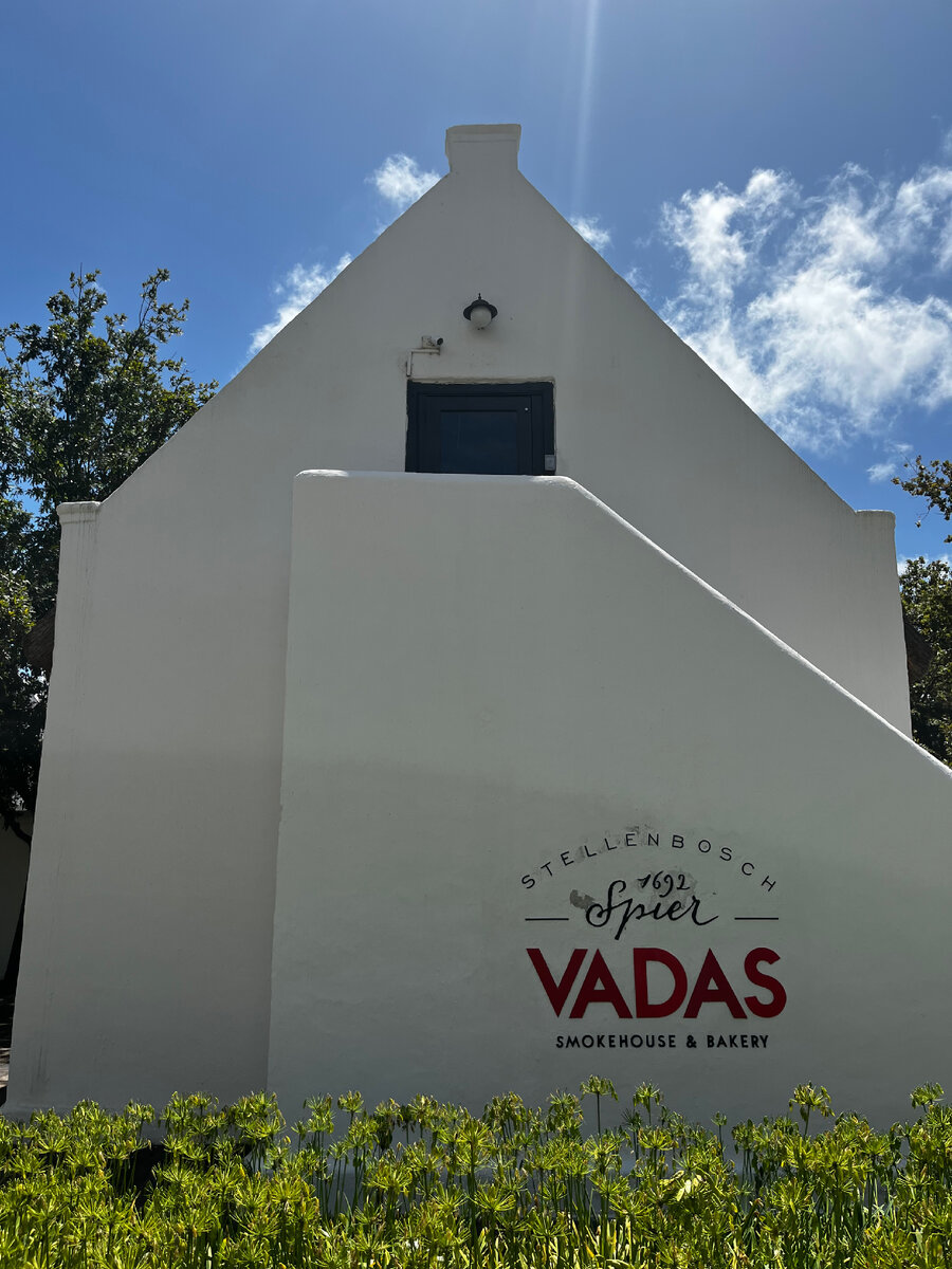 Вадас, Стелленбош