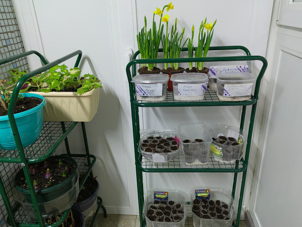 Отчёт о проделанной работе. Фото автора