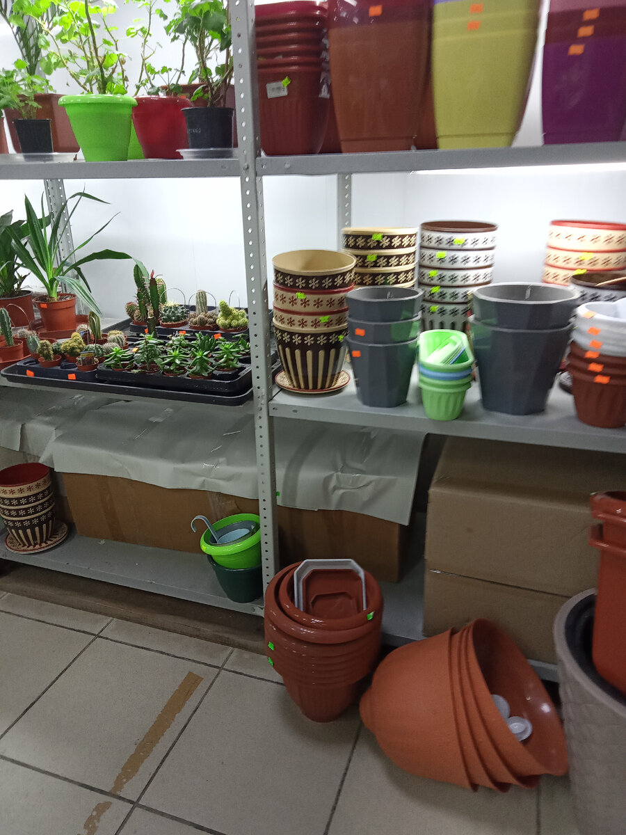 ...и выходишь, загрузившись горшками, цветами и лейками и сама не понимаешь, как так получилось 