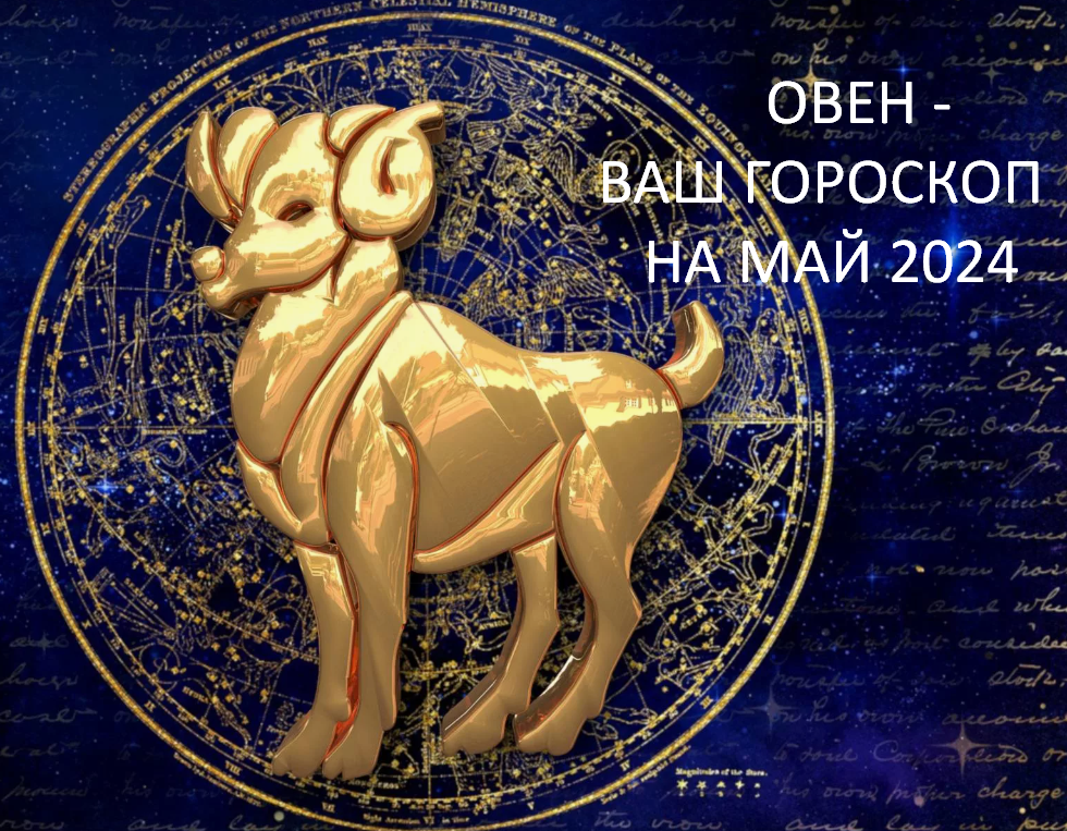 Фото из открытого источника