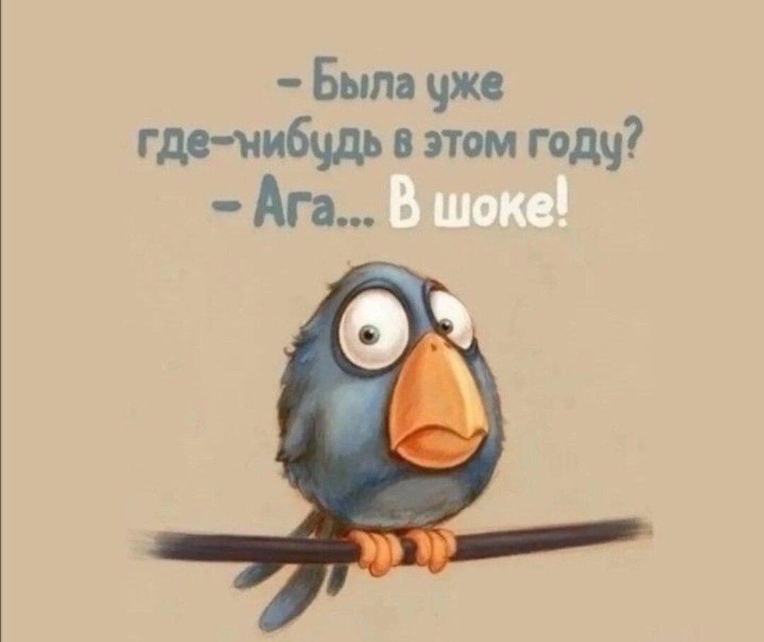 Просто  прикольная картинка из свободного доступа