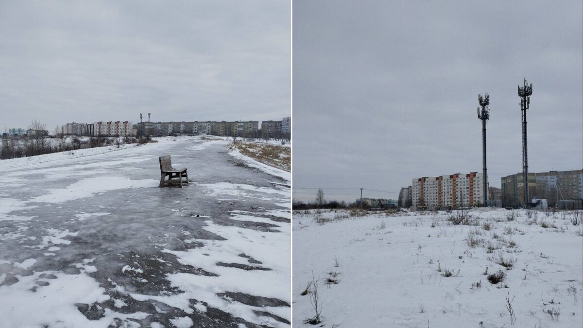    Саратовцы попросили оставить Парк Свободы и зайцев в покоеНовости Саратова и области – Сетевое издание «Репортер64»