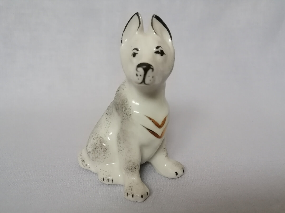 Личное фото автора.