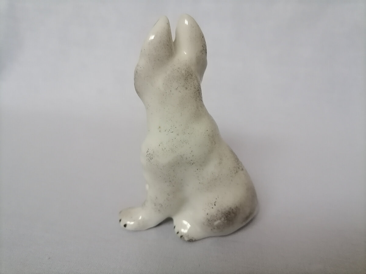 Личное фото автора.