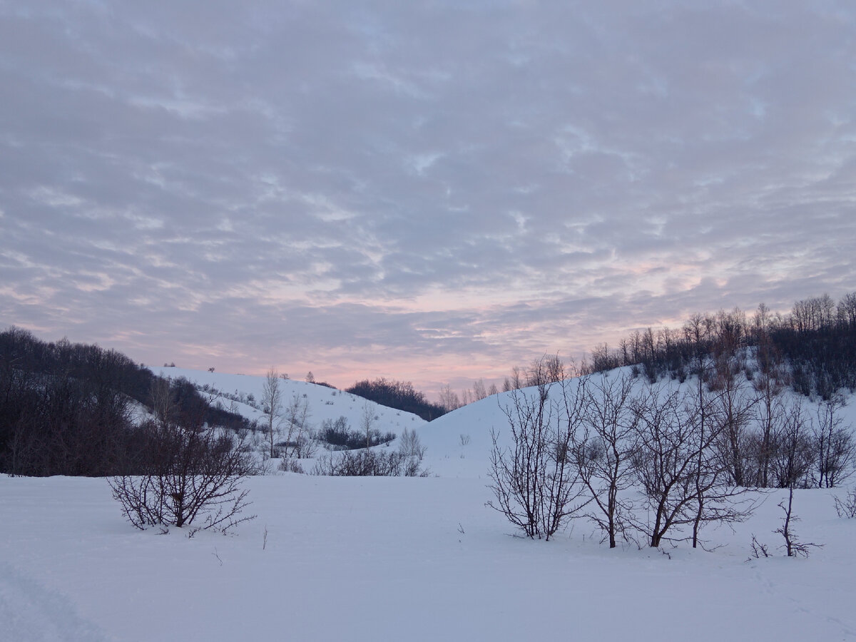 Винновский овраг на рассвете. 12.02.2024. Фото автора. Здесь уже нет связи.  
