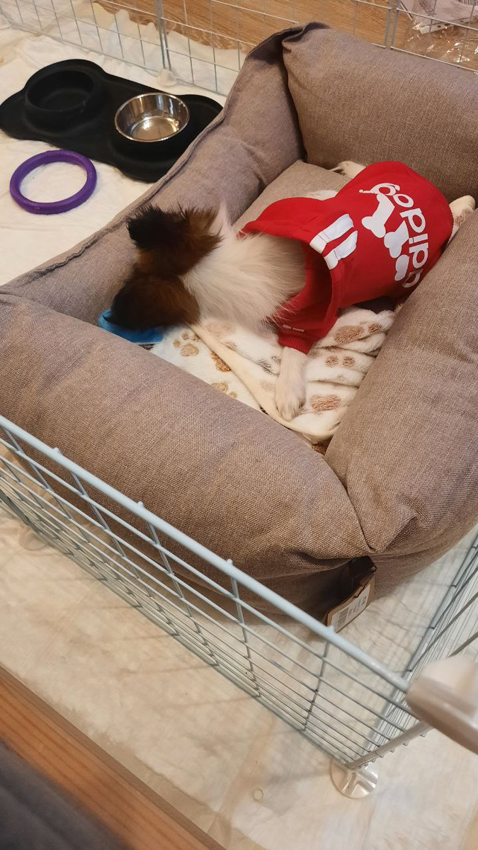 Только нарядились, а уже устали