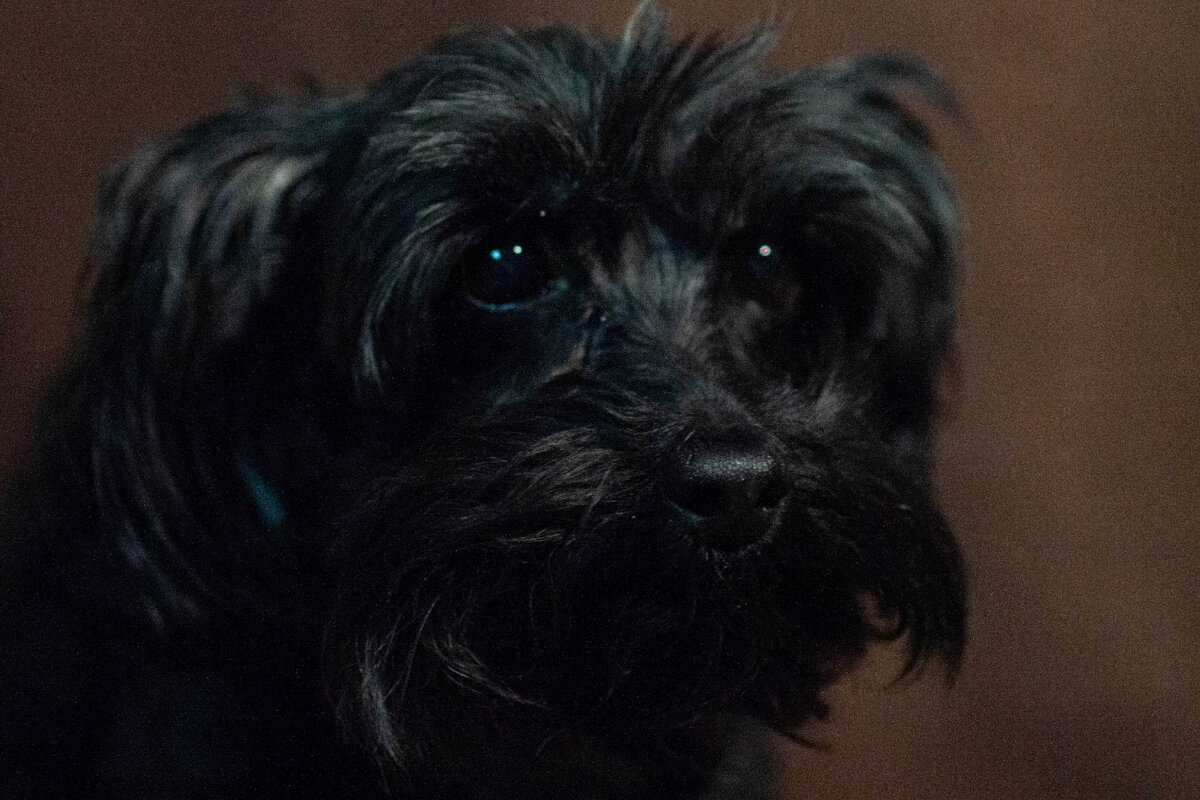 Изюминка- это не только высушенная ягода, но и нечто особенное!