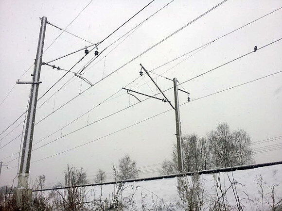    Фото ИА «Росбалт»