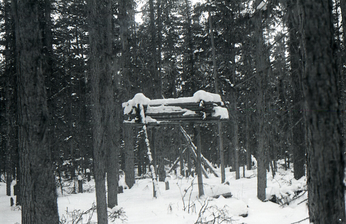 Мансийская постройка.