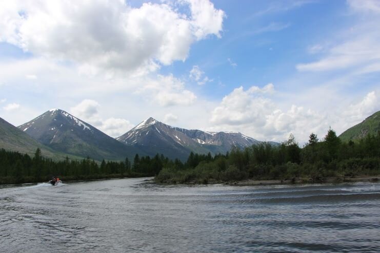 Алтайская река. Фото автора