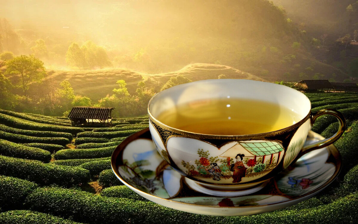 Чашка чаю. Коллажик из сетевых изображений