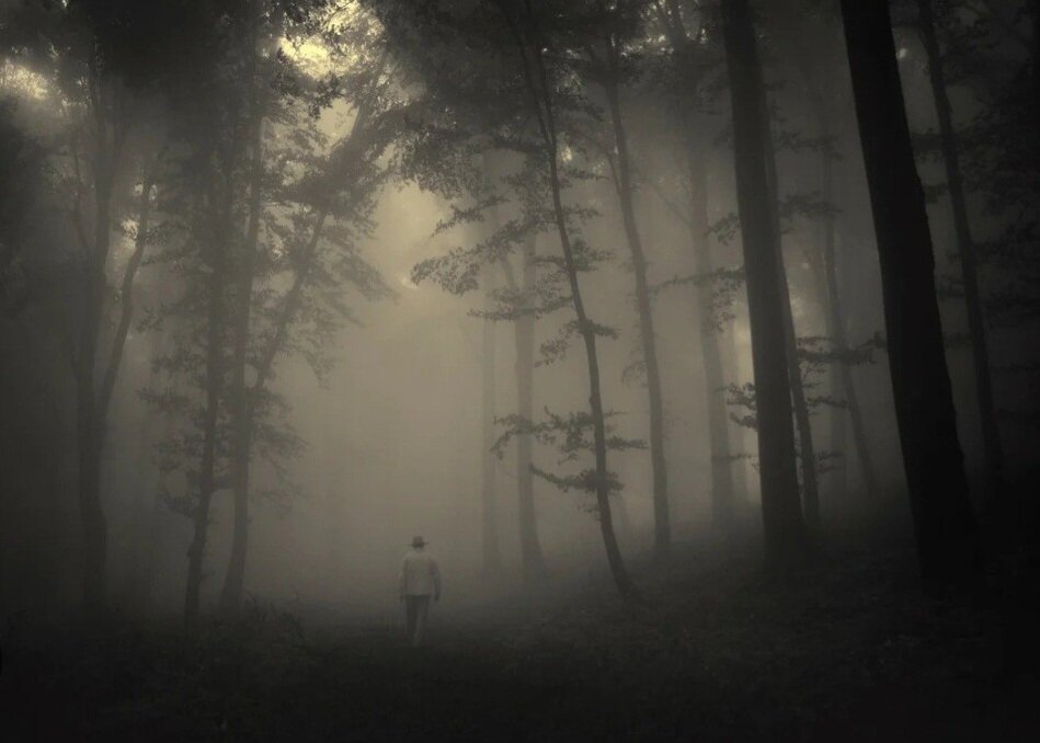 склонение имен прилагательных. за вершинами леса скрылось. гора сосновая свердловская область. за вершинами леса скрылось. составить предложения из слов лесом, скрылось, за, солнце.