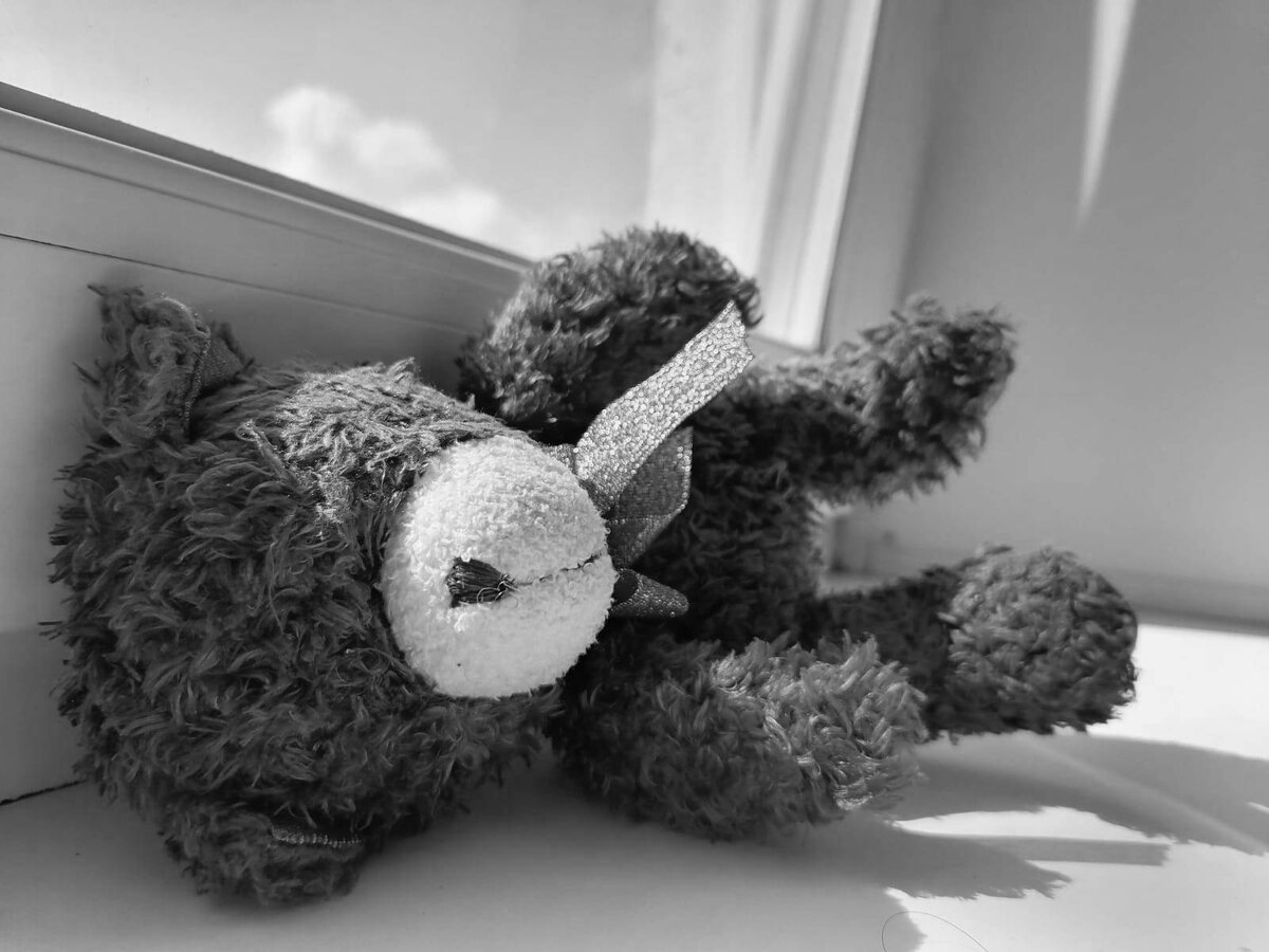 Фото ТЕЛЕПОРТ.РФ