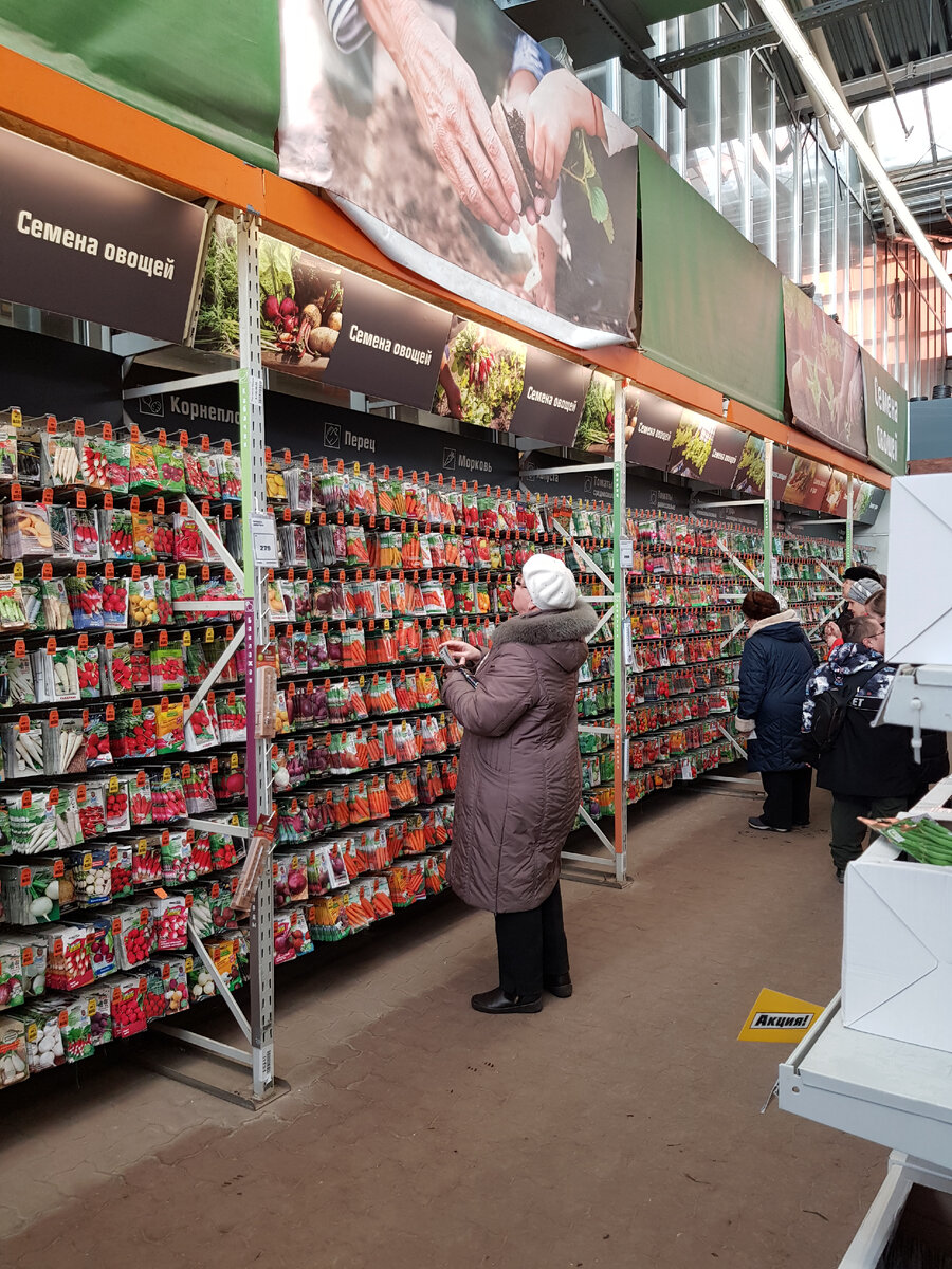 В ОБИ всё готово к дачному сезону! Недорогие семена овощей и цветов🥕🥒🌺  Комнатные растения, луковицы цветов, картофель и лук на посадку🔥 |  Михайловна | Дзен