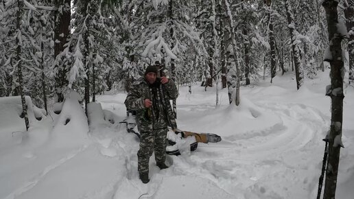 Подготовка к сезону охоты на пушнину! Таёжный быт!