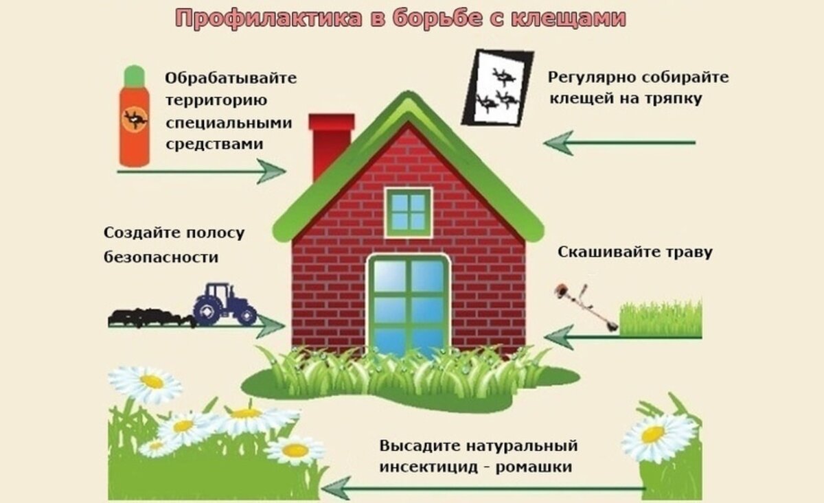Фото открытых источников