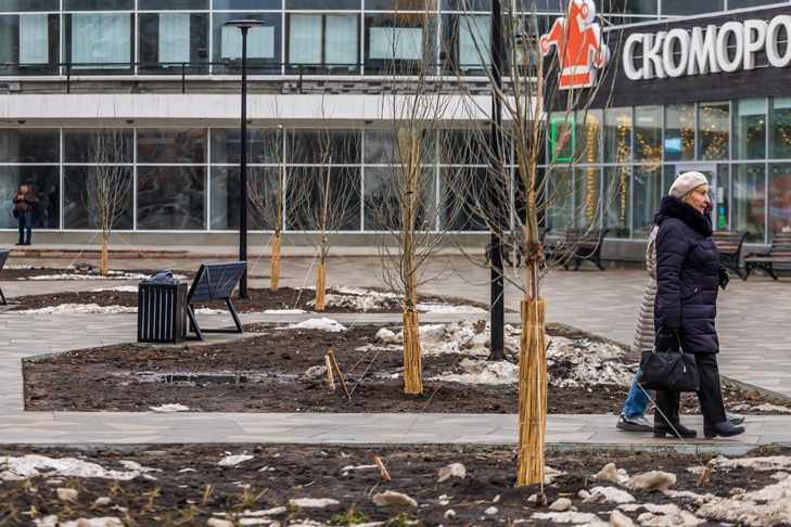    Фото из архива VN.ru