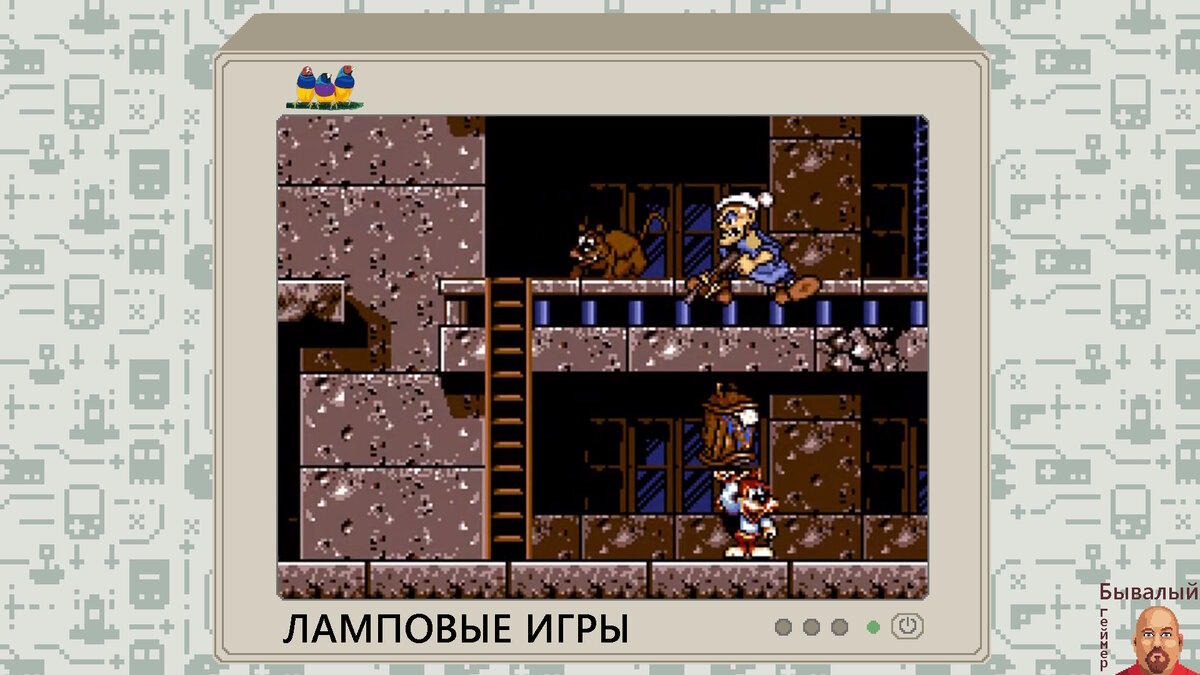 Titus the Fox. Сильная независимая женщина и её кот.