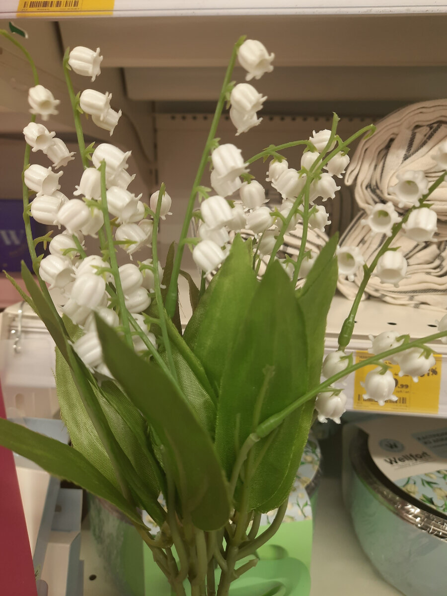 а вот и они -милые такие! 