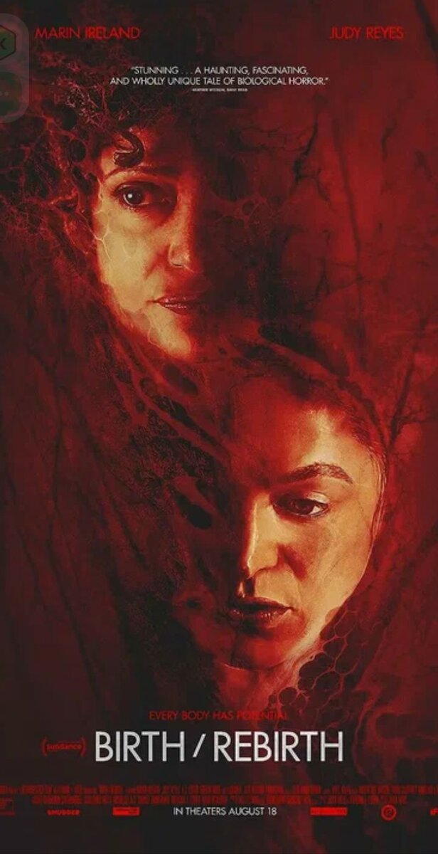 Фото с интернета. 