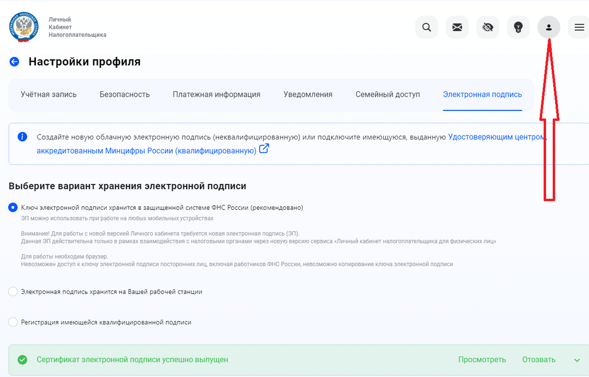 скрин автора с сайта ИФНС
