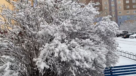 Музыкальный вечер зимняя сказка. Рождественское волшебство. Музыкальный вечер зимняя сказка. Художник ted blaylock. Тихий зимний вечер.