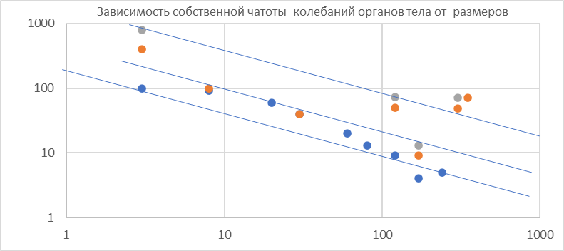 Рис. 2. Зависимость собственной частоты колебаний органов животных и человека в Гц (точки) от их размеров в мм, сравнение с законом Колмогорова (прямые линии).