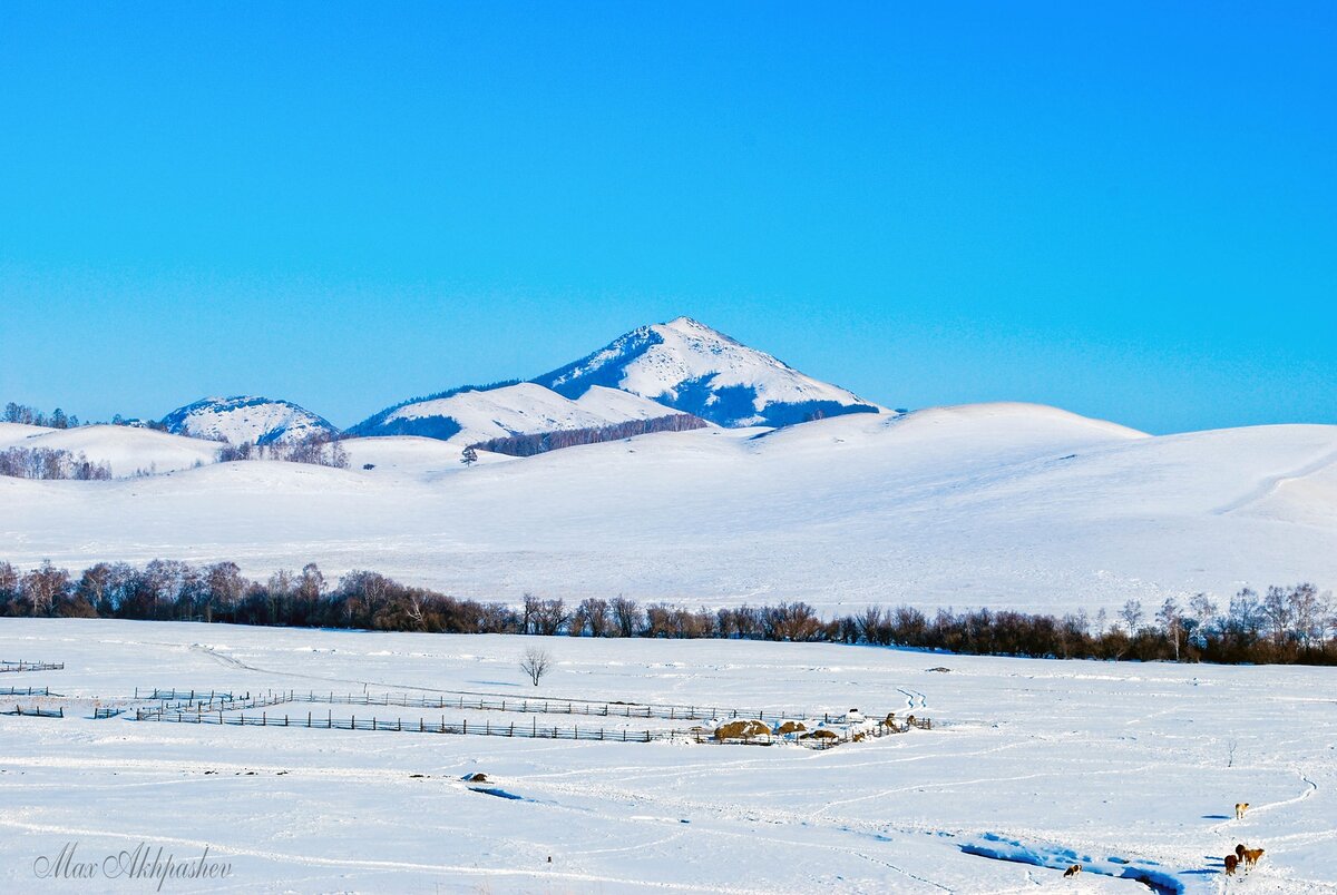 Долина реки Бутрахты. 2011 г.