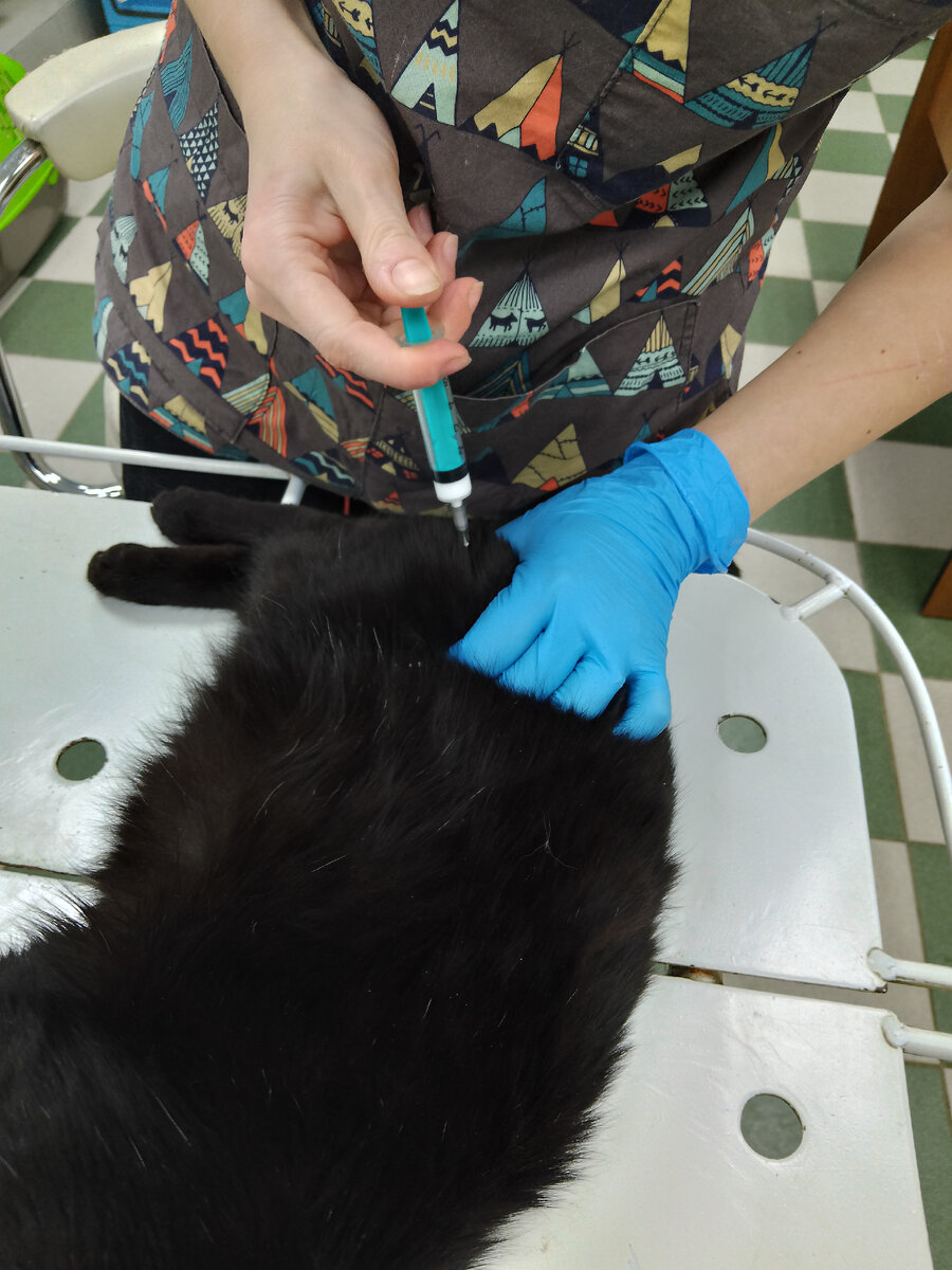 Укололи антибиотик. 