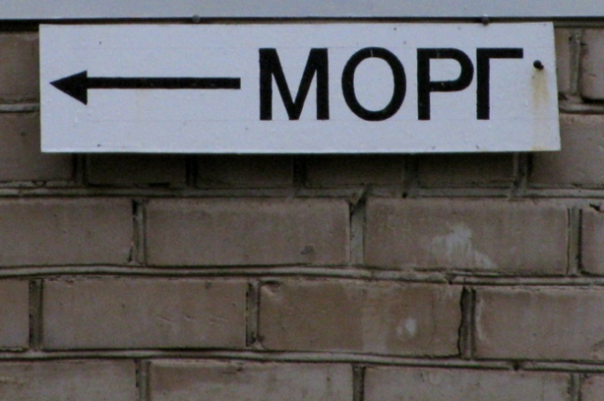    Марочко: морги Харькова переполнены из-за резкого роста потерь ВСУ