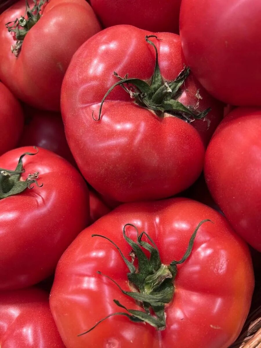 Дачный агроном