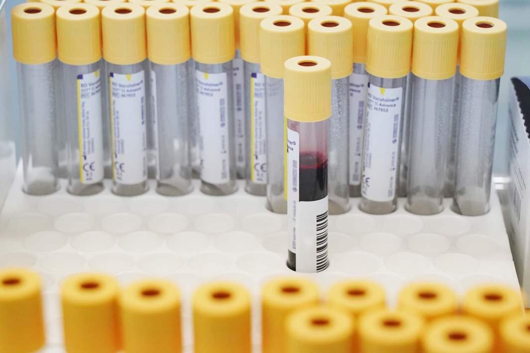 Фото: ИЗВЕСТИЯ/Дмитрий Коротаев