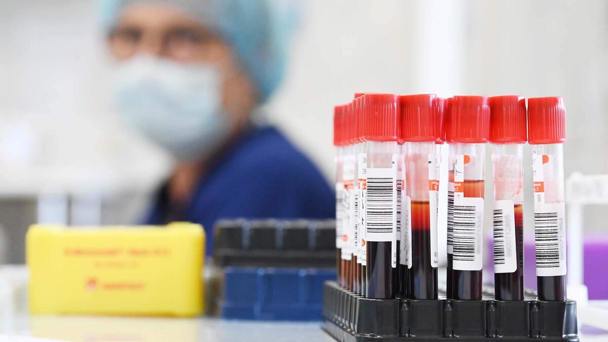 Фото: РИА Новости/Максим Блинов